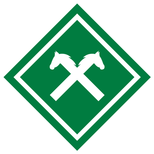 Vereinslogo SFN VECHTA